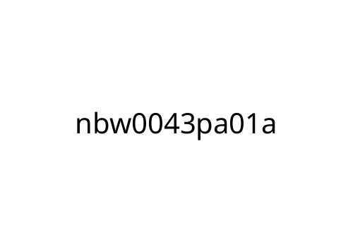 nbw0043pa01a