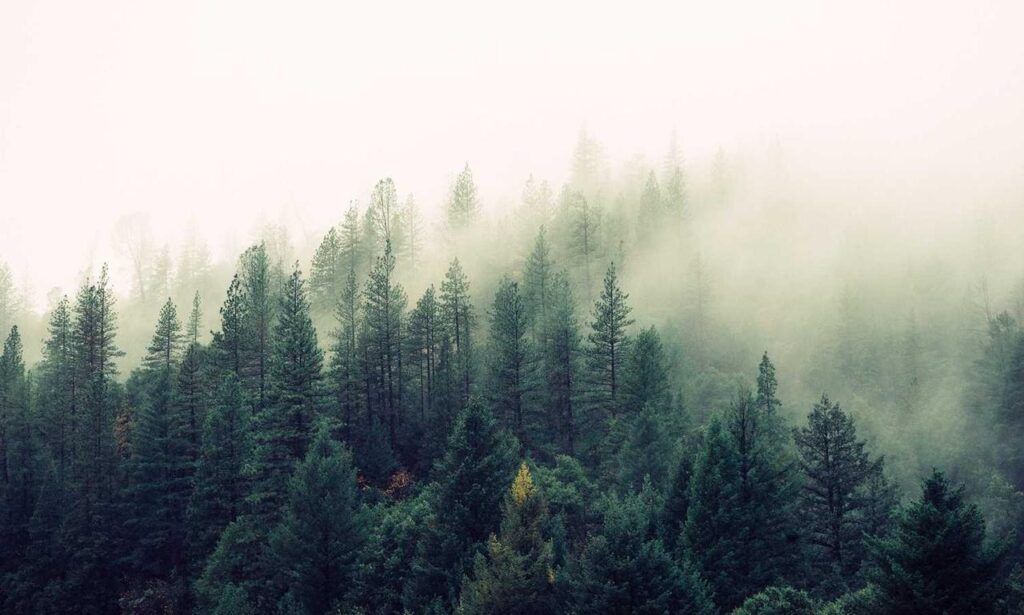 problem on computer 54axhg5