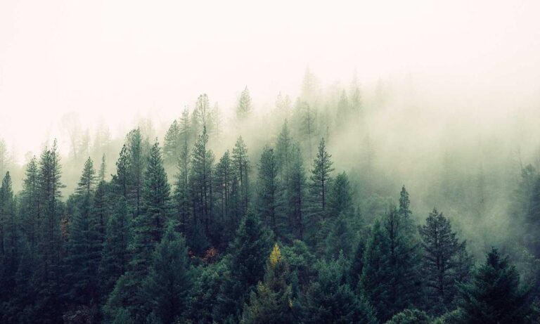 problem on computer 54axhg5