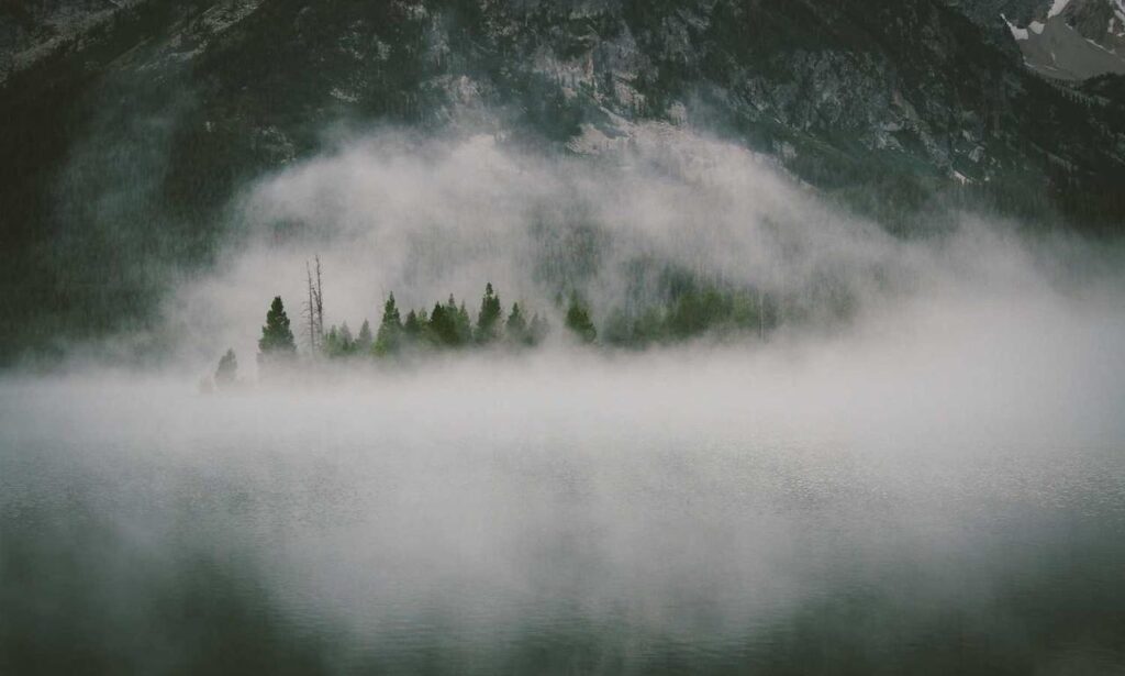 what to serve with wantrigyo