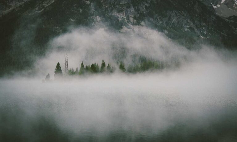 what to serve with wantrigyo