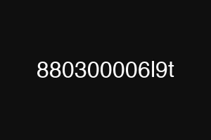 880300006l9t