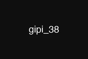 gipi_38