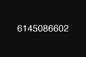 6145086602