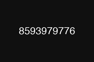 8593979776