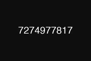 7274977817