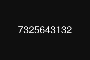 7325643132