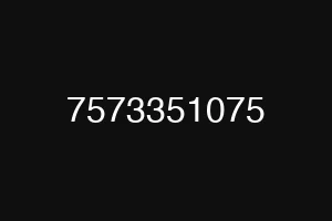 7573351075