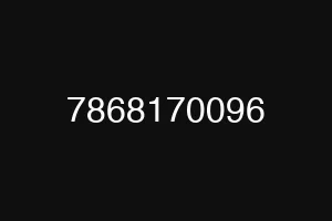 7868170096