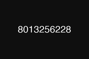 8013256228