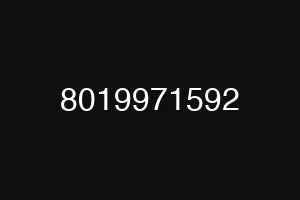 8019971592