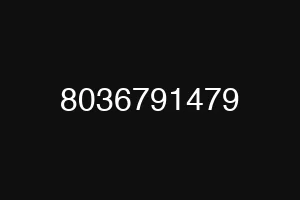 8036791479