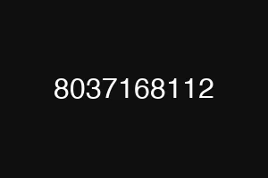 8037168112