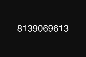 8139069613