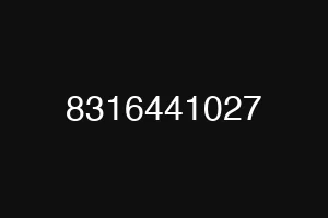 8316441027