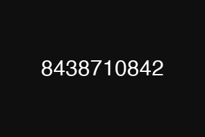 8438710842