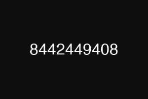 8442449408