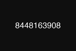 8448163908