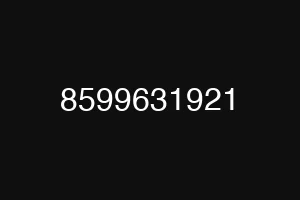 8599631921