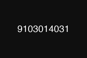 9103014031
