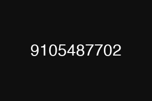 9105487702