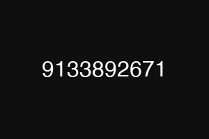 9133892671