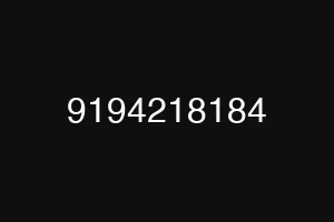 9194218184