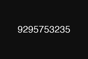 9295753235