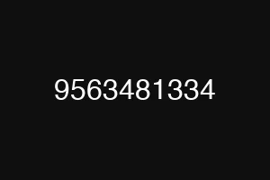 9563481334