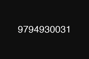 9794930031