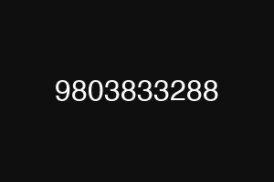 9803833288